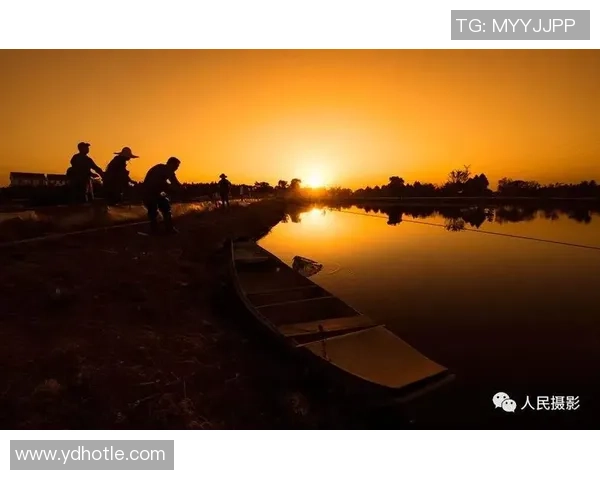 张强的飞盘人生:从热爱到职业的深度对话与成长探索