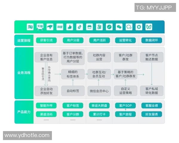 杭州网球队运营体系中的战术创新与实践探索